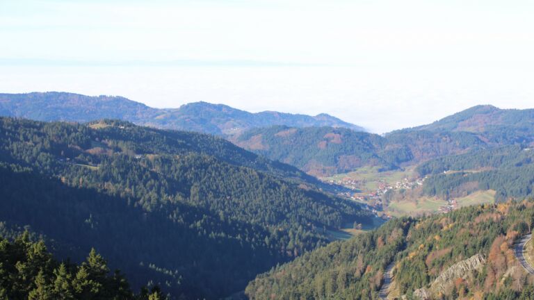 Dieses Bild zeigt eine Webcam-Aufnahme vom Achertal, aufgenommen am Montag, den 10.11.2025 um 10:40 Uhr. Die Temperatur betrug 6°C.