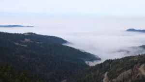 Dieses Bild zeigt eine Webcam-Aufnahme vom Achertal, aufgenommen am Montag, den 22.12.2025 um 10:30 Uhr. Die Temperatur betrug 7.8°C.