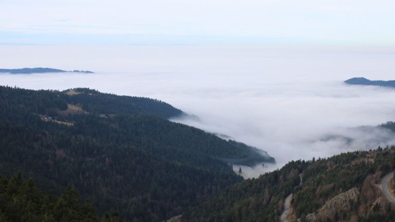 Dieses Bild zeigt eine Webcam-Aufnahme vom Achertal, aufgenommen am Montag, den 22.12.2025 um 10:30 Uhr. Die Temperatur betrug 7.8°C.