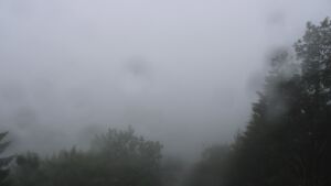 Dieses Bild zeigt eine Webcam-Aufnahme vom Achertal, aufgenommen am Freitag, den 12.06.2026 um 11:40 Uhr. Die Temperatur betrug 10.2°C.