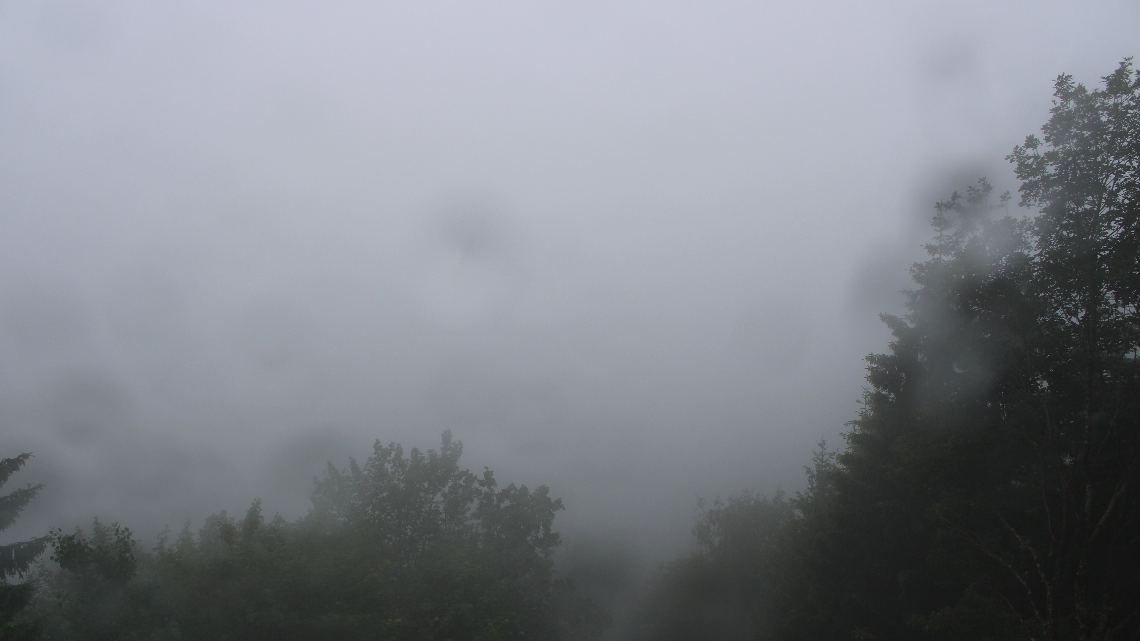 Dieses Bild zeigt eine Webcam-Aufnahme vom Achertal, aufgenommen am Freitag, den 12.06.2026 um 11:40 Uhr. Die Temperatur betrug 10.2°C.
