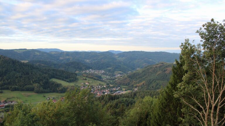 Dieses Bild zeigt eine Webcam-Aufnahme vom Achertal, aufgenommen am Samstag, den 12.09.2026 um 07:50 Uhr. Die Temperatur betrug 15.4°C.
