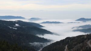 Dieses Bild zeigt eine Webcam-Aufnahme vom Achertal, aufgenommen am Samstag, den 24.01.2026 um 14:50 Uhr. Die Temperatur betrug 2.1°C.