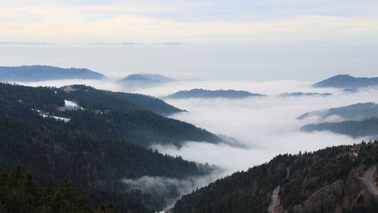 Dieses Bild zeigt eine Webcam-Aufnahme vom Achertal, aufgenommen am Samstag, den 24.01.2026 um 14:50 Uhr. Die Temperatur betrug 2.1°C.
