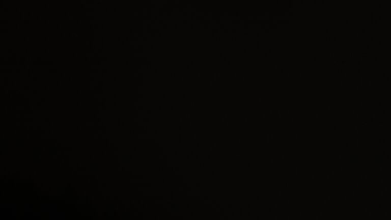 Dieses Bild zeigt eine Webcam-Aufnahme vom Achertal, aufgenommen am Mittwoch, den 19.11.2025 um 21:00 Uhr. Die Temperatur betrug -2.6°C.