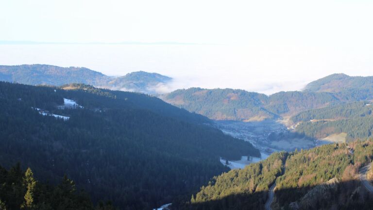 Dieses Bild zeigt eine Webcam-Aufnahme vom Achertal, aufgenommen am Dienstag, den 20.01.2026 um 09:50 Uhr. Die Temperatur betrug 10.4°C.