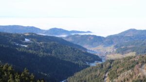 Dieses Bild zeigt eine Webcam-Aufnahme vom Achertal, aufgenommen am Mittwoch, den 21.01.2026 um 11:50 Uhr. Die Temperatur betrug 10.4°C.