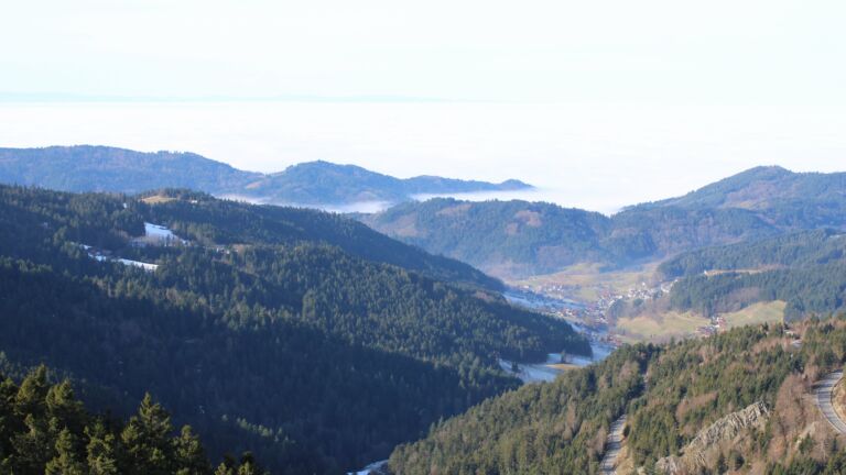 Dieses Bild zeigt eine Webcam-Aufnahme vom Achertal, aufgenommen am Mittwoch, den 21.01.2026 um 11:50 Uhr. Die Temperatur betrug 10.4°C.