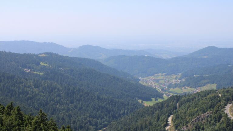 Dieses Bild zeigt eine Webcam-Aufnahme vom Achertal, aufgenommen am Montag, den 11.08.2025 um 14:30 Uhr. Die Temperatur betrug 23.2°C.