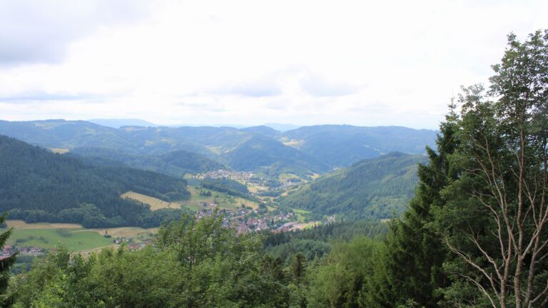 Dieses Bild zeigt eine Webcam-Aufnahme vom Achertal, aufgenommen am Montag, den 29.06.2026 um 12:10 Uhr. Die Temperatur betrug 22.5°C.