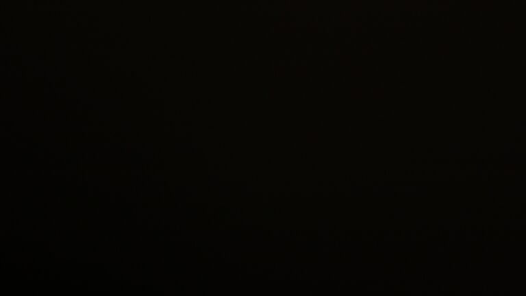 Dieses Bild zeigt eine Webcam-Aufnahme vom Achertal, aufgenommen am Samstag, den 21.02.2026 um 21:00 Uhr. Die Temperatur betrug 4°C.