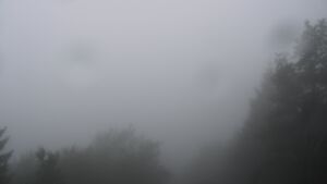 Dieses Bild zeigt eine Webcam-Aufnahme vom Achertal, aufgenommen am Mittwoch, den 01.07.2026 um 07:00 Uhr. Die Temperatur betrug 16.6°C.