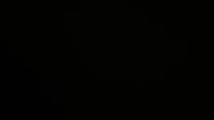 Dieses Bild zeigt eine Webcam-Aufnahme vom Achertal, aufgenommen am Donnerstag, den 20.11.2025 um 06:00 Uhr. Die Temperatur betrug -3.1°C.