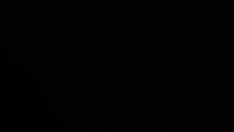 Dieses Bild zeigt eine Webcam-Aufnahme vom Achertal, aufgenommen am Donnerstag, den 20.11.2025 um 06:00 Uhr. Die Temperatur betrug -3.1°C.