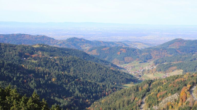 Dieses Bild zeigt eine Webcam-Aufnahme vom Achertal, aufgenommen am Mittwoch, den 29.10.2025 um 10:30 Uhr. Die Temperatur betrug 12.1°C.