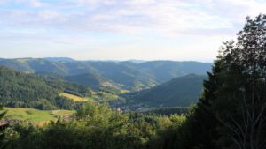 Dieses Bild zeigt eine Webcam-Aufnahme vom Achertal, aufgenommen am Montag, den 15.06.2026 um 20:10 Uhr. Die Temperatur betrug 20.4°C.