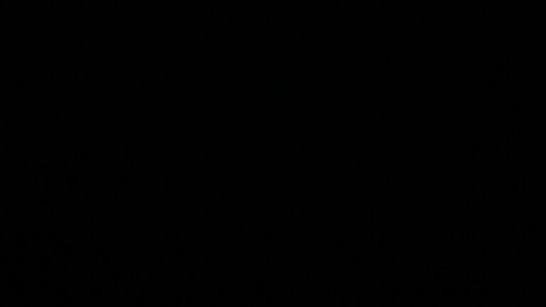 Dieses Bild zeigt eine Webcam-Aufnahme vom Achertal, aufgenommen am Montag, den 11.05.2026 um 03:50 Uhr. Die Temperatur betrug 9.1°C.