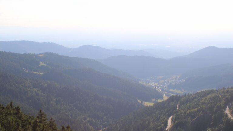 Dieses Bild zeigt eine Webcam-Aufnahme vom Achertal, aufgenommen am Freitag, den 11.07.2025 um 19:30 Uhr. Die Temperatur betrug 17.2°C.