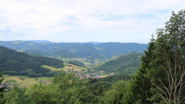 Dieses Bild zeigt eine Webcam-Aufnahme vom Achertal, aufgenommen am Samstag, den 06.06.2026 um 11:50 Uhr. Die Temperatur betrug 18.2°C.
