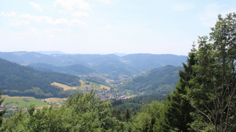 Dieses Bild zeigt eine Webcam-Aufnahme vom Achertal, aufgenommen am Freitag, den 26.06.2026 um 14:30 Uhr. Die Temperatur betrug 36.3°C.