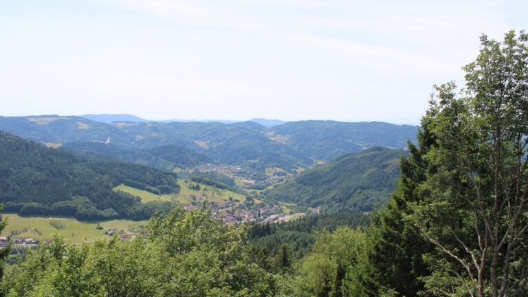 Dieses Bild zeigt eine Webcam-Aufnahme vom Achertal, aufgenommen am Mittwoch, den 22.07.2026 um 14:10 Uhr. Die Temperatur betrug 24°C.