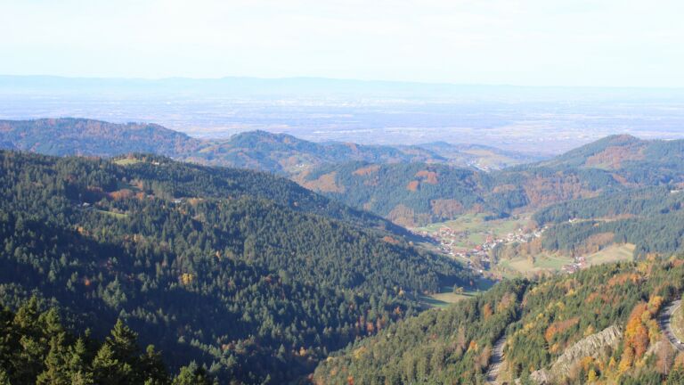 Dieses Bild zeigt eine Webcam-Aufnahme vom Achertal, aufgenommen am Mittwoch, den 29.10.2025 um 10:10 Uhr. Die Temperatur betrug 11.8°C.