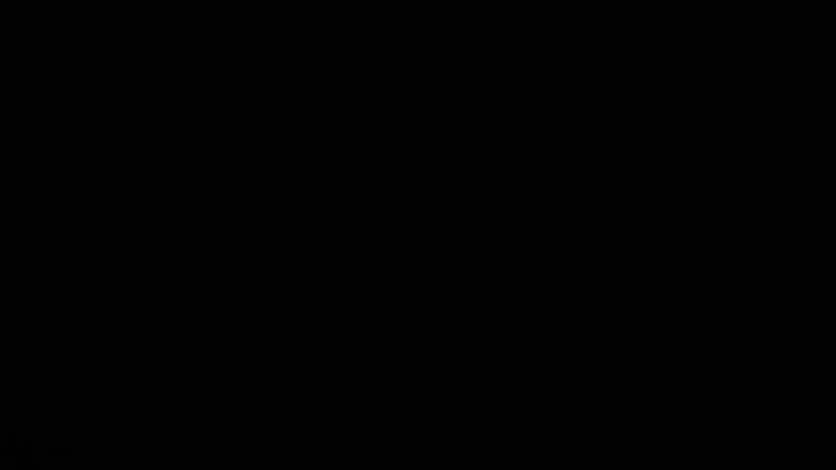 Dieses Bild zeigt eine Webcam-Aufnahme vom Achertal, aufgenommen am Mittwoch, den 26.11.2025 um 04:30 Uhr. Die Temperatur betrug -0.6°C.