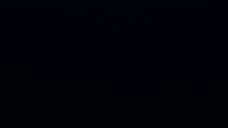 Dieses Bild zeigt eine Webcam-Aufnahme vom Achertal, aufgenommen am Samstag, den 29.11.2025 um 06:50 Uhr. Die Temperatur betrug 3.9°C.