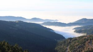 Dieses Bild zeigt eine Webcam-Aufnahme vom Achertal, aufgenommen am Sonntag, den 21.12.2025 um 14:50 Uhr. Die Temperatur betrug 7.1°C.