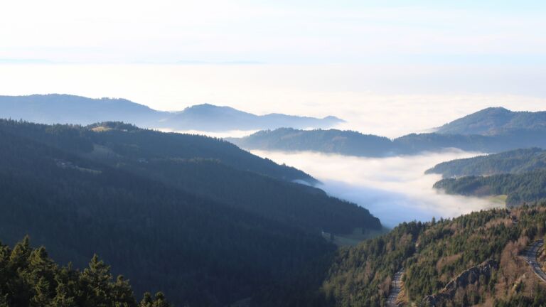 Dieses Bild zeigt eine Webcam-Aufnahme vom Achertal, aufgenommen am Sonntag, den 21.12.2025 um 14:50 Uhr. Die Temperatur betrug 7.1°C.