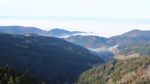 Dieses Bild zeigt eine Webcam-Aufnahme vom Achertal, aufgenommen am Sonntag, den 21.12.2025 um 11:00 Uhr. Die Temperatur betrug 6.2°C.