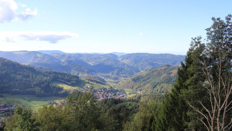 Dieses Bild zeigt eine Webcam-Aufnahme vom Achertal, aufgenommen am Montag, den 12.10.2026 um 11:40 Uhr. Die Temperatur betrug 13.9°C.