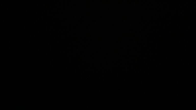 Dieses Bild zeigt eine Webcam-Aufnahme vom Achertal, aufgenommen am Donnerstag, den 16.10.2025 um 02:00 Uhr. Die Temperatur betrug 5.8°C.