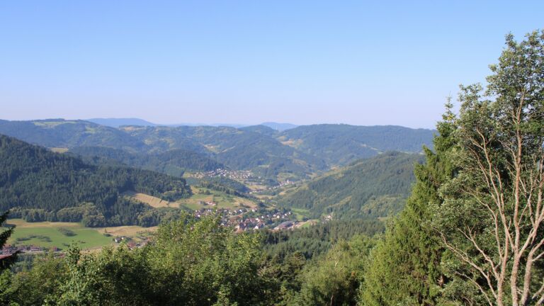 Dieses Bild zeigt eine Webcam-Aufnahme vom Achertal, aufgenommen am Mittwoch, den 24.06.2026 um 08:50 Uhr. Die Temperatur betrug 31.2°C.