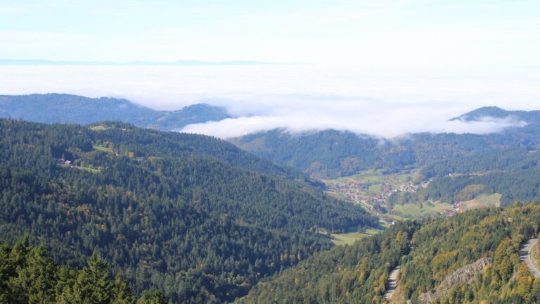 Dieses Bild zeigt eine Webcam-Aufnahme vom Achertal, aufgenommen am Mittwoch, den 08.10.2025 um 12:20 Uhr. Die Temperatur betrug 18.2°C.