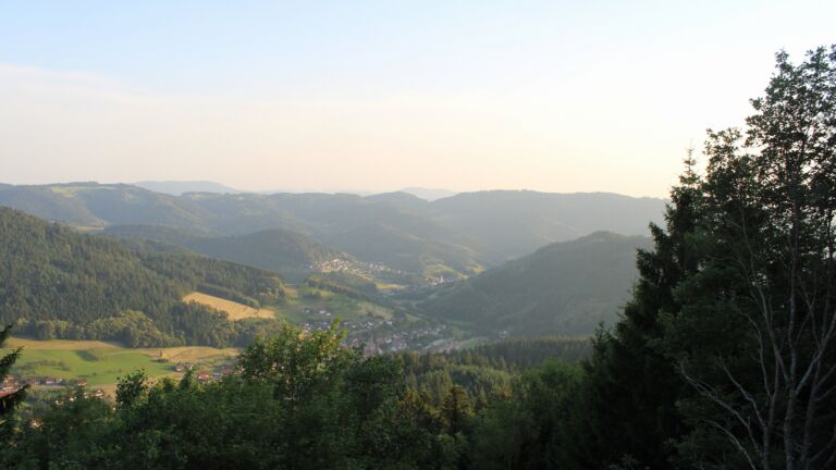 Dieses Bild zeigt eine Webcam-Aufnahme vom Achertal, aufgenommen am Donnerstag, den 25.06.2026 um 20:30 Uhr. Die Temperatur betrug 31.4°C.
