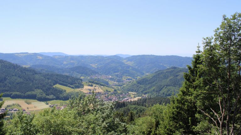 Dieses Bild zeigt eine Webcam-Aufnahme vom Achertal, aufgenommen am Freitag, den 29.05.2026 um 13:30 Uhr. Die Temperatur betrug 24.8°C.