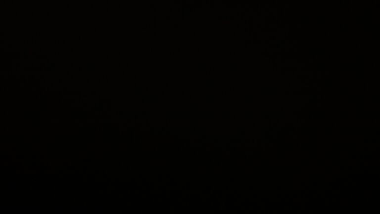 Dieses Bild zeigt eine Webcam-Aufnahme vom Achertal, aufgenommen am Sonntag, den 23.11.2025 um 22:30 Uhr. Die Temperatur betrug 0°C.