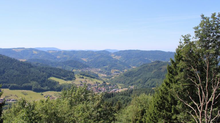 Dieses Bild zeigt eine Webcam-Aufnahme vom Achertal, aufgenommen am Freitag, den 24.07.2026 um 12:30 Uhr. Die Temperatur betrug 22.5°C.