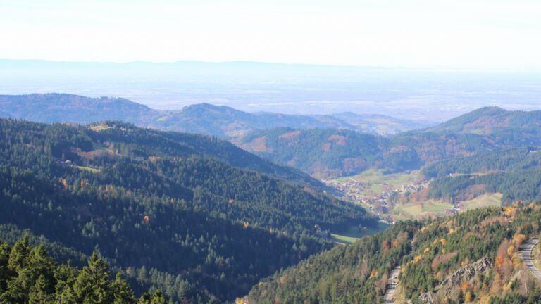 Dieses Bild zeigt eine Webcam-Aufnahme vom Achertal, aufgenommen am Dienstag, den 04.11.2025 um 12:30 Uhr. Die Temperatur betrug 12.7°C.