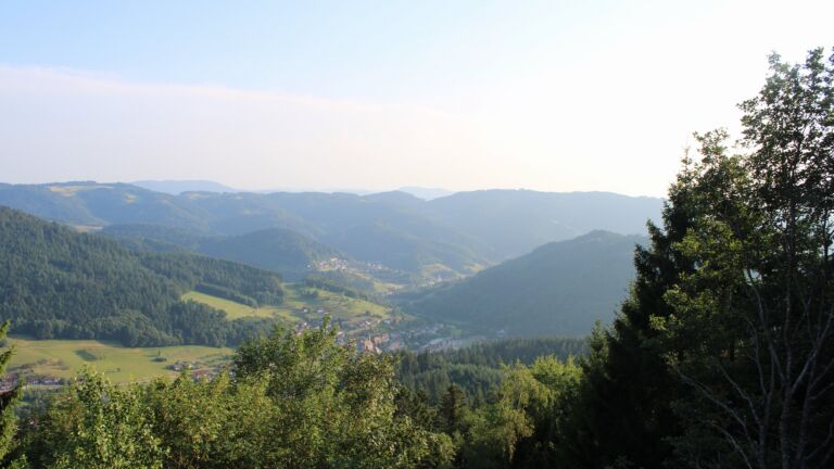 Dieses Bild zeigt eine Webcam-Aufnahme vom Achertal, aufgenommen am Samstag, den 18.07.2026 um 19:40 Uhr. Die Temperatur betrug 23.6°C.