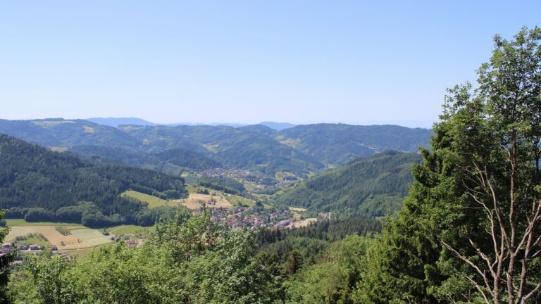 Dieses Bild zeigt eine Webcam-Aufnahme vom Achertal, aufgenommen am Freitag, den 29.05.2026 um 12:30 Uhr. Die Temperatur betrug 23.7°C.