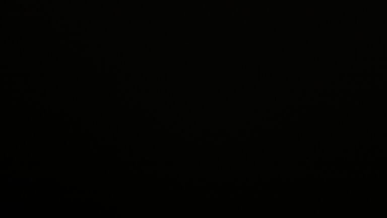 Dieses Bild zeigt eine Webcam-Aufnahme vom Achertal, aufgenommen am Samstag, den 11.04.2026 um 04:30 Uhr. Die Temperatur betrug 5°C.