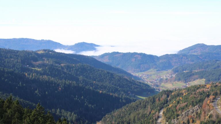 Dieses Bild zeigt eine Webcam-Aufnahme vom Achertal, aufgenommen am Samstag, den 08.11.2025 um 12:40 Uhr. Die Temperatur betrug 11.1°C.