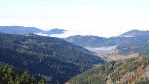 Dieses Bild zeigt eine Webcam-Aufnahme vom Achertal, aufgenommen am Freitag, den 07.11.2025 um 11:30 Uhr. Die Temperatur betrug 10.9°C.