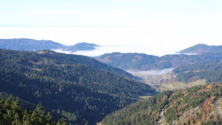 Dieses Bild zeigt eine Webcam-Aufnahme vom Achertal, aufgenommen am Freitag, den 07.11.2025 um 11:30 Uhr. Die Temperatur betrug 10.9°C.