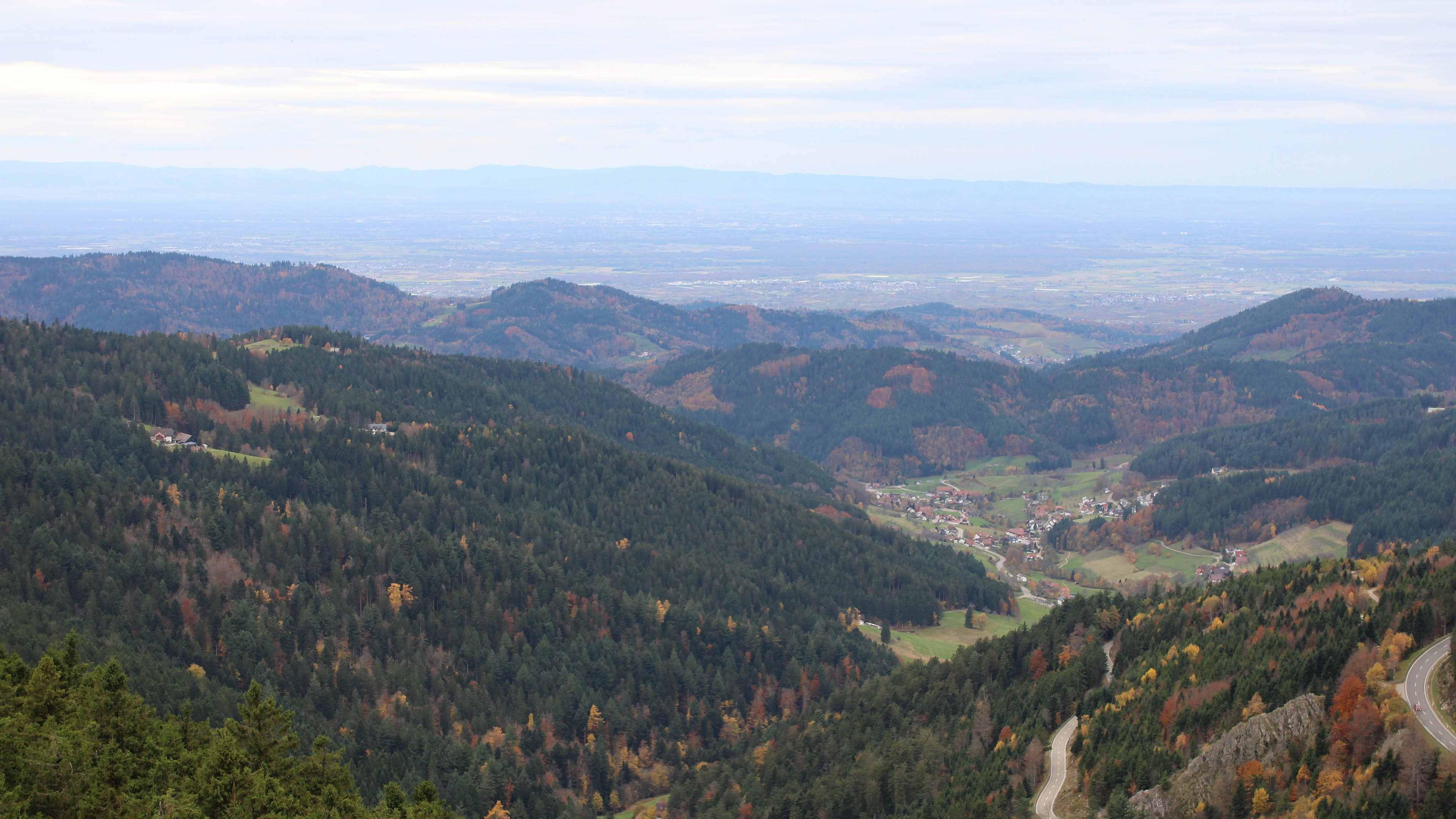 Zum Fotoarchiv vom Samstag, 1. November 2025