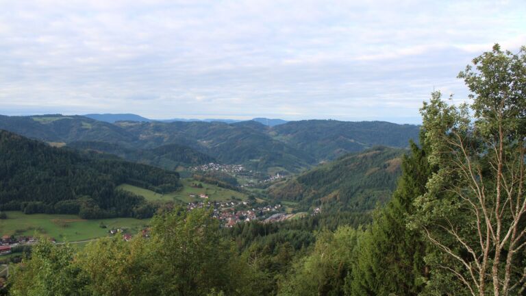 Dieses Bild zeigt eine Webcam-Aufnahme vom Achertal, aufgenommen am Montag, den 14.09.2026 um 08:40 Uhr. Die Temperatur betrug 15.1°C.