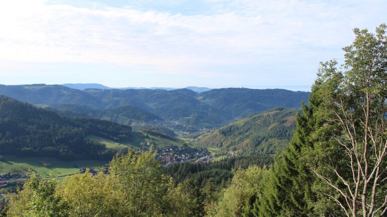 Dieses Bild zeigt eine Webcam-Aufnahme vom Achertal, aufgenommen am Donnerstag, den 15.10.2026 um 11:20 Uhr. Die Temperatur betrug 16°C.