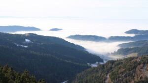 Dieses Bild zeigt eine Webcam-Aufnahme vom Achertal, aufgenommen am Dienstag, den 20.01.2026 um 15:00 Uhr. Die Temperatur betrug 10.8°C.